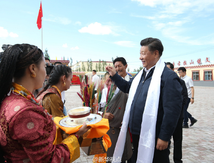 习近平：在保护生态前提下搞好开发利用