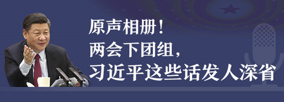 原声相册！两会下团组，习近平这些话发人深省