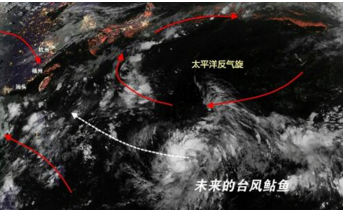 图片默认标题