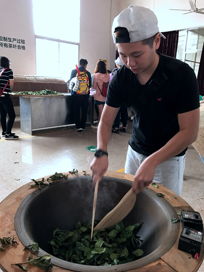 文化寻根一脉问茶——两岸青年走茶乡活动圆满收官