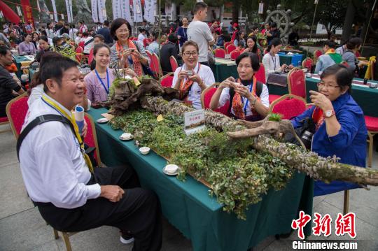 两岸茶人齐聚武夷 一方茶席托起两岸情缘