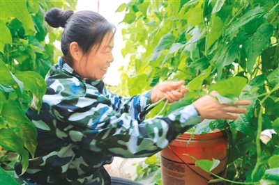 库布其： 风沙变风景 沙子变金子