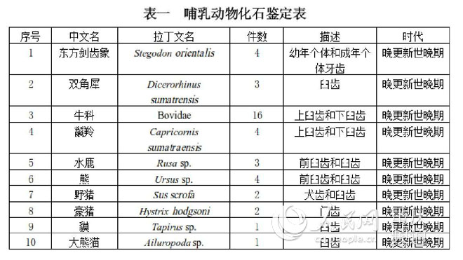 图片默认标题_fororder_LOCAL201808131220000535942461807