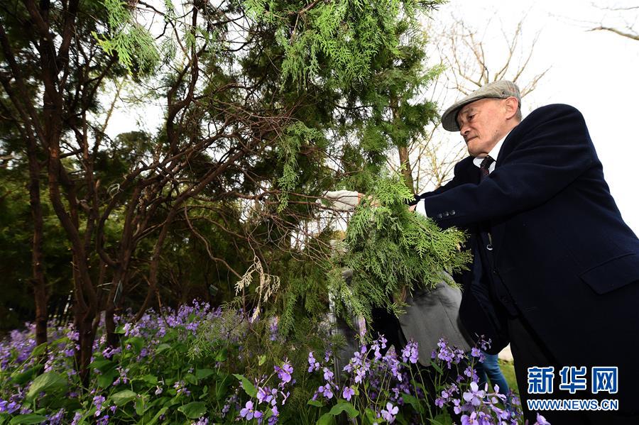 日本植树访华团持续32年悼念南京大屠杀遇难者