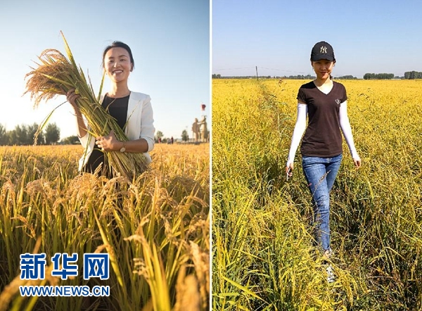 爱红妆　更恋稻香——吉林两位返乡女大学生的“稻梦空间”