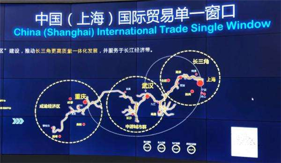 国际锐评：守底线大胆闯 中国加大自贸区改革