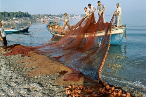 聯(lián)合國秘書長(zhǎng)：2050年海洋中塑料垃圾總重或超魚類