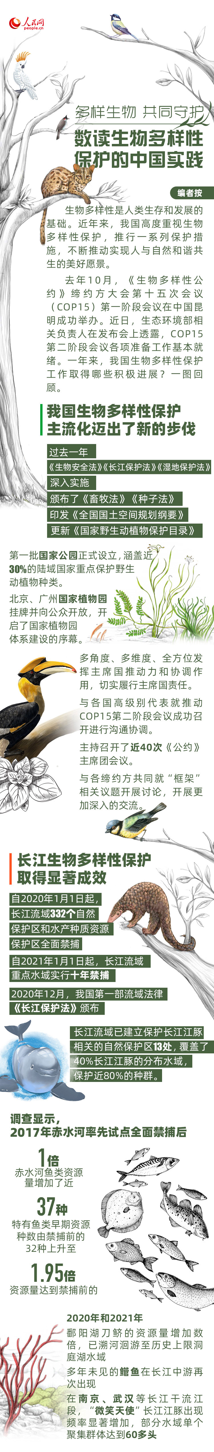 多样生物 共同守护 数读生物多样性保护的中国实践