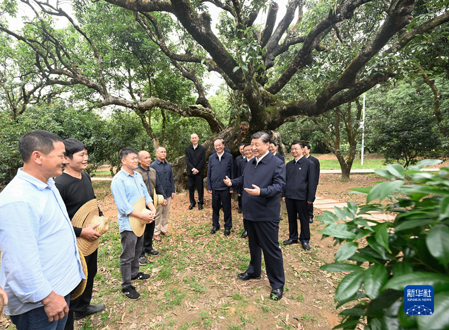 习近平在广东考察时强调 坚定不移全面深化改革扩大高水平对外开放 在推进中国式现代化建设中走在前列