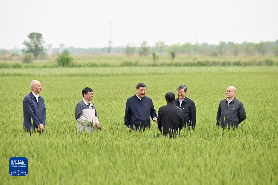 习近平在河北考察并主持召开深入推进京津冀协同发展座谈会