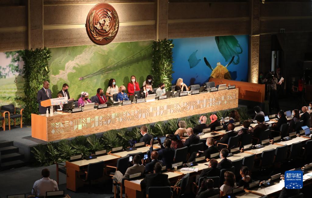 第五届联合国环境大会续会开幕　会议聚焦塑料污染