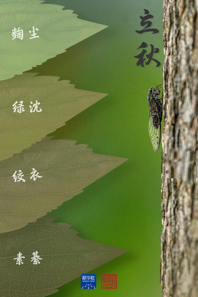 未觉三夏尽 时序已新秋