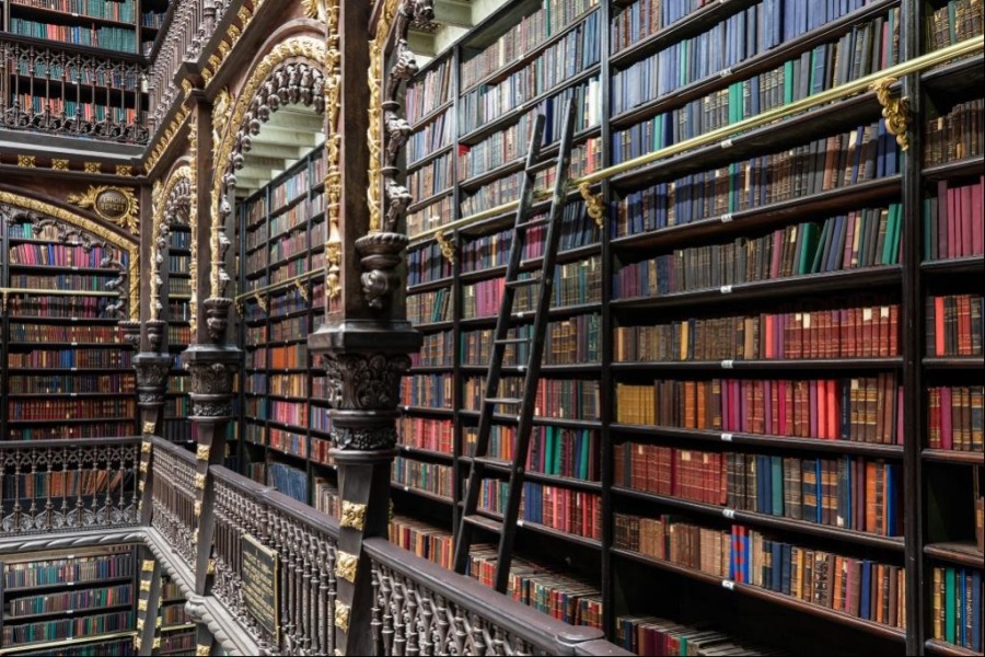 这是4月19日在巴西里约热内卢拍摄的皇家葡文图书馆书架。新华社记者 王天聪 摄