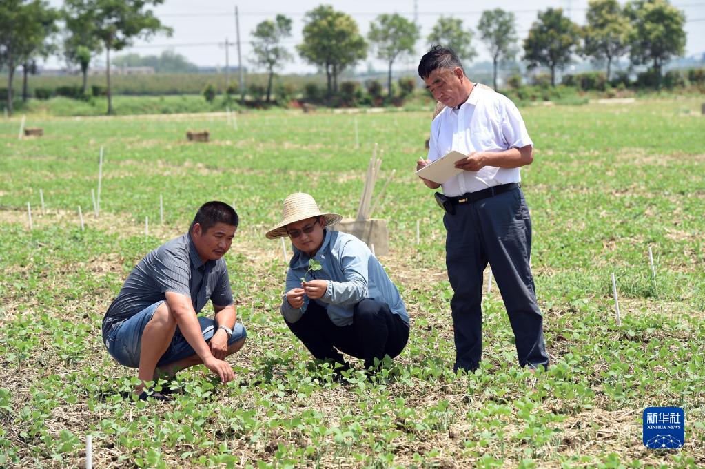 牢牢把住粮食安全主动权——以习近平同志为核心的党中央带领人民干好这件头等大事