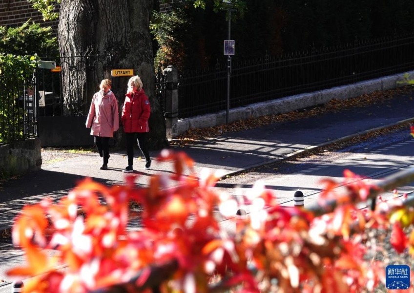 10月8日，两名女子行走在瑞典斯德哥尔摩街头。新华社记者 任鹏飞 摄