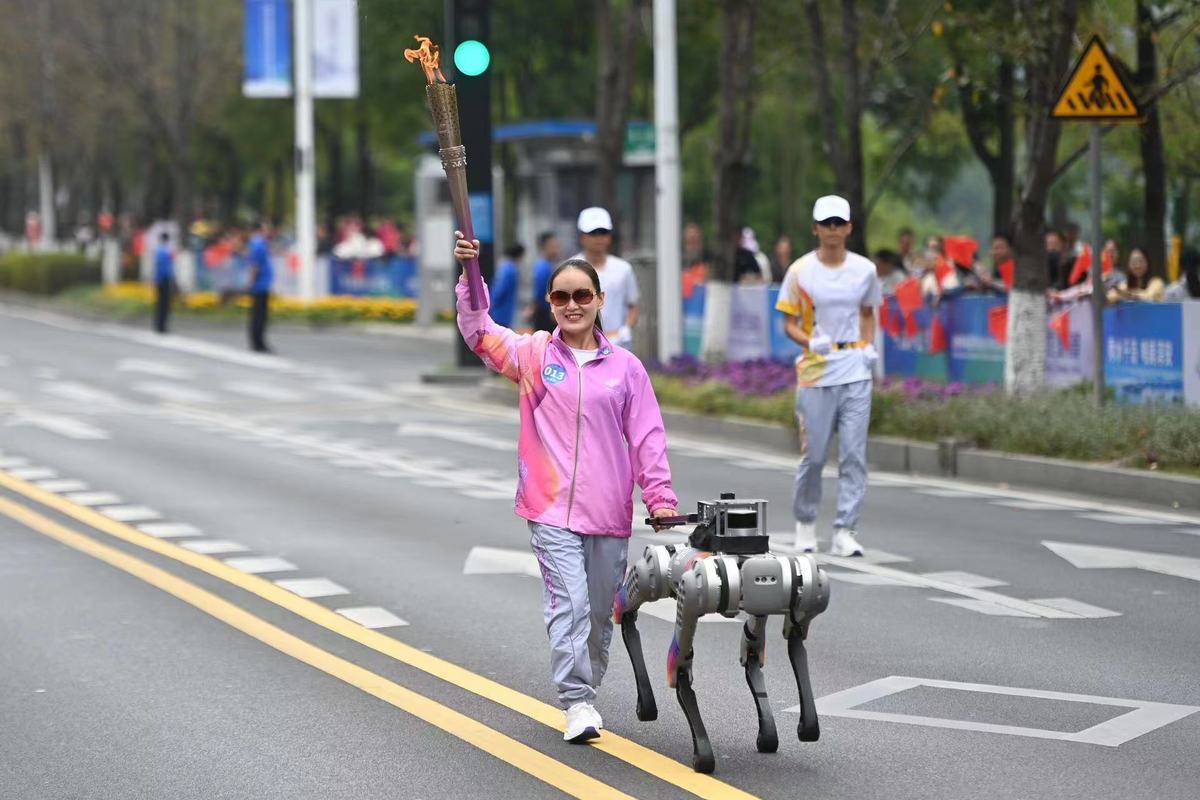 智能导盲犬图片