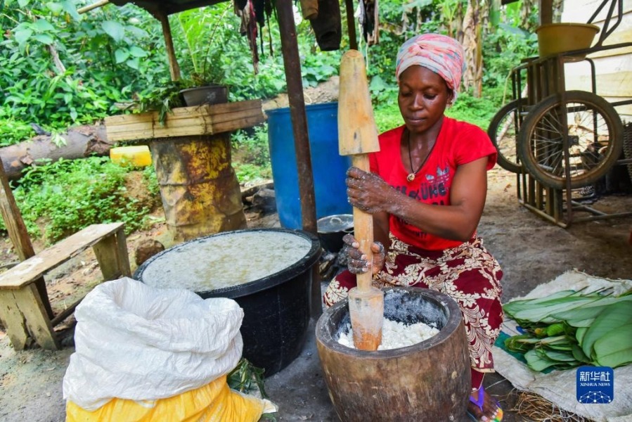 11月16日，在喀麦隆南部大区曼贡市一村庄，一名女子捣烂木薯根。新华社发（科普索摄）