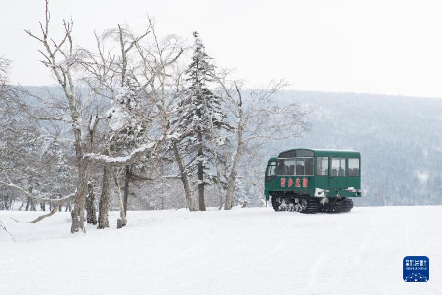 2月5日，游客乘车在“冰雪画廊”游玩。