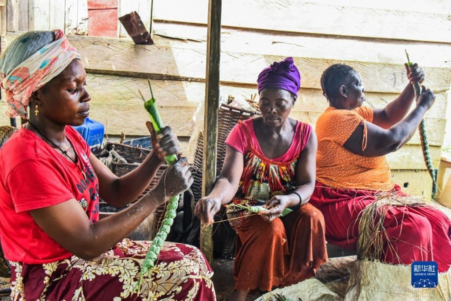 11月16日，在喀麦隆南部大区曼贡市一村庄，妇女用捣好的木薯面团制作木薯棒。新华社发（科普索摄）