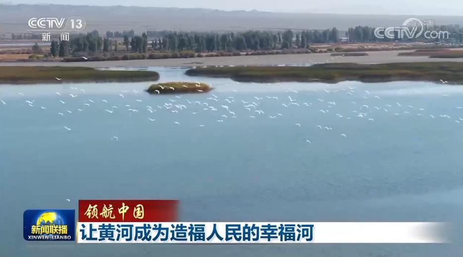 领航中国 | 让黄河成为造福人民的幸福河