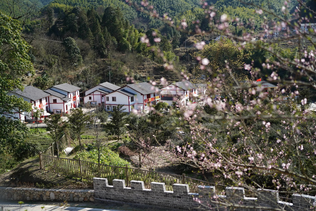 星火再燎原——来自中国首个脱贫摘帽县井冈山的回访