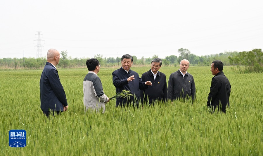 习近平在河北考察并主持召开深入推进京津冀协同发展座谈会