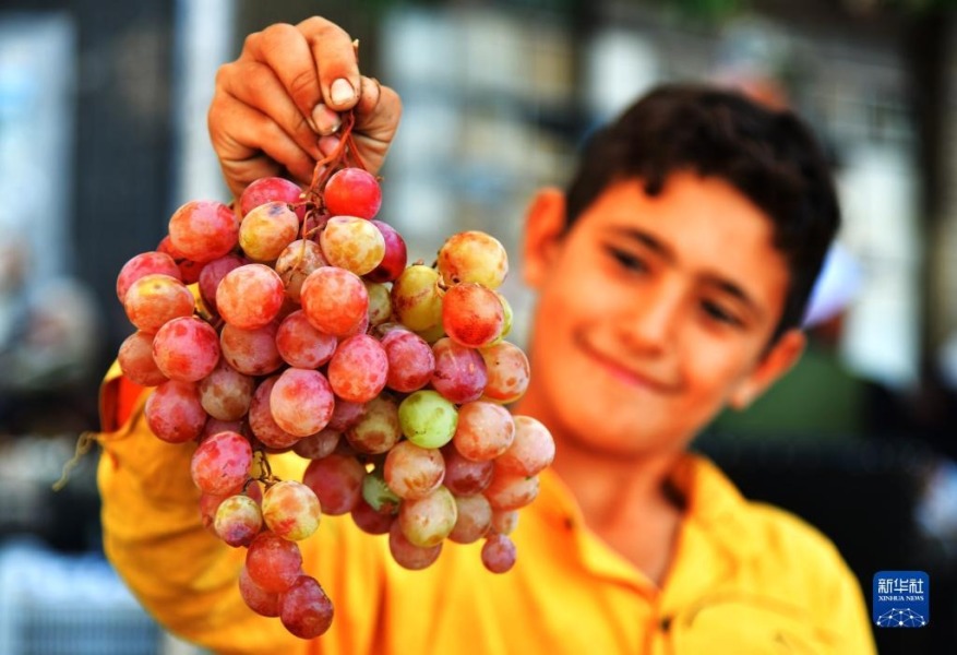 8月29日，在叙利亚大马士革的水果市场，一名男孩举起一串葡萄。新华社发（阿马尔·萨法尔贾拉尼摄）