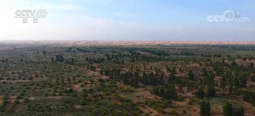 中国防沙治沙取得成效 天然林保护建设近6200万亩 沙区生态状况稳中向好