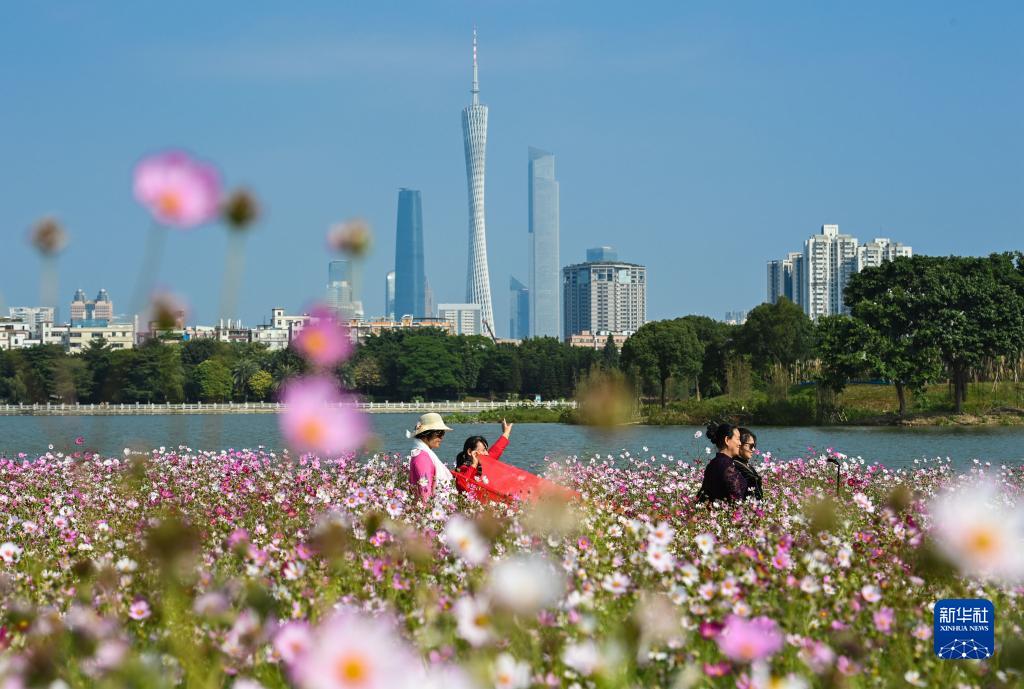 （新华全媒+）湿地之美丨广州海珠湿地