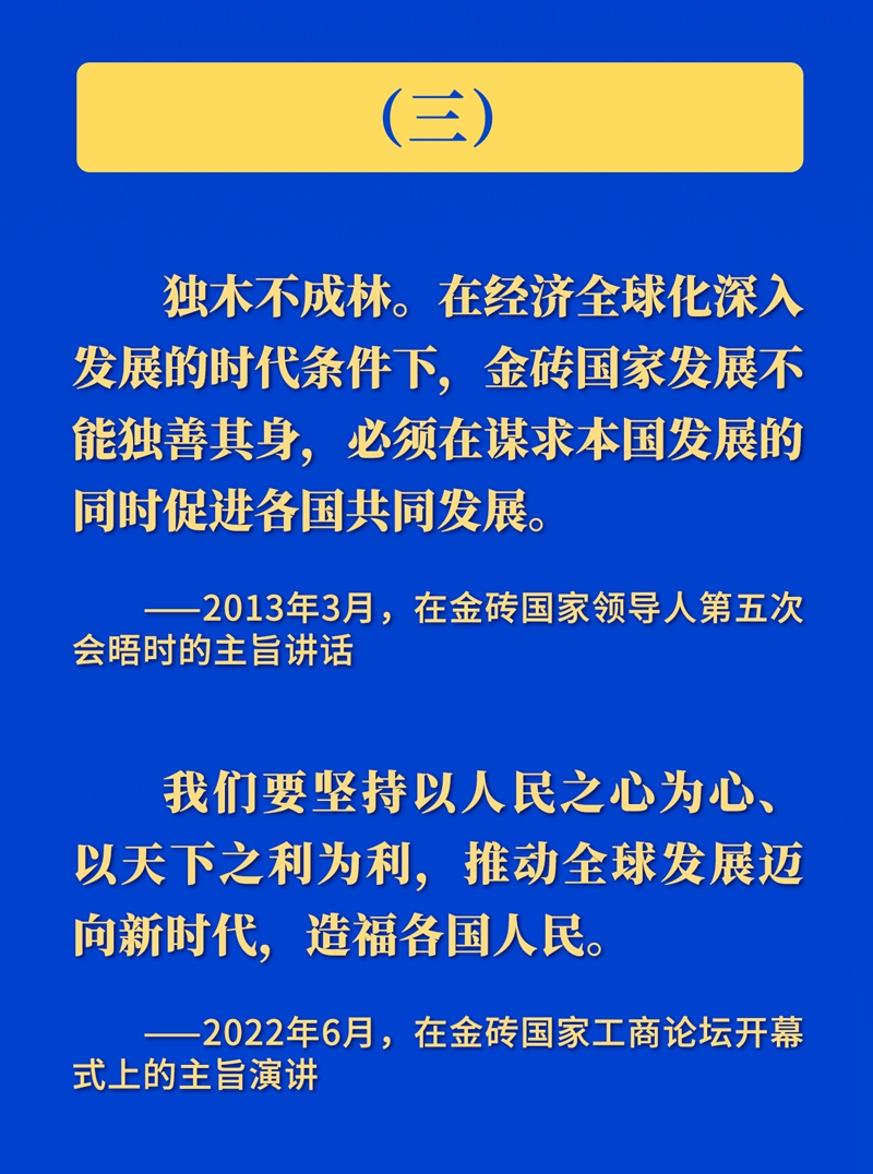 推动金砖合作，习近平主席这样强调