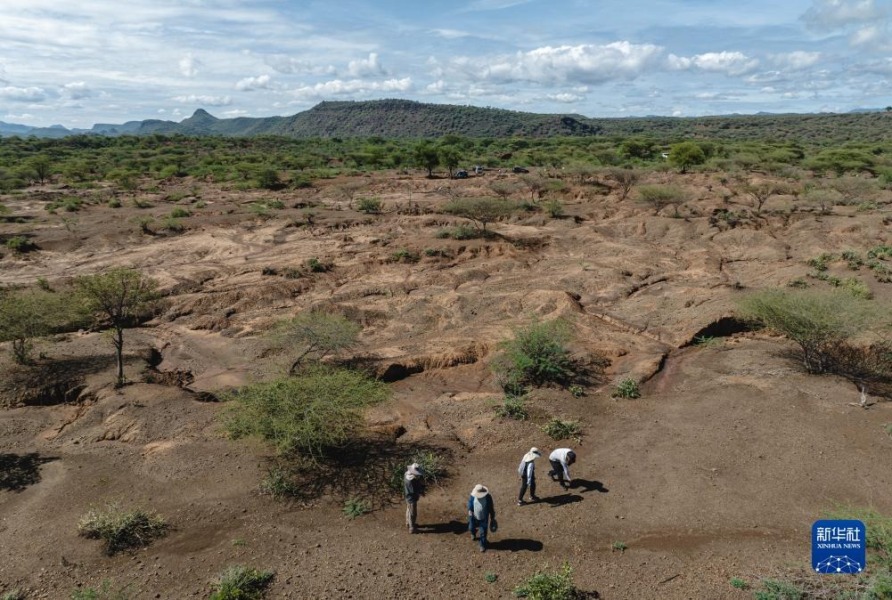 11月4日，中肯联合考古队队员在位于肯尼亚巴林戈郡马里加特镇的考古现场周边区域进行野外调查（无人机照片）。新华社记者 王冠森 摄