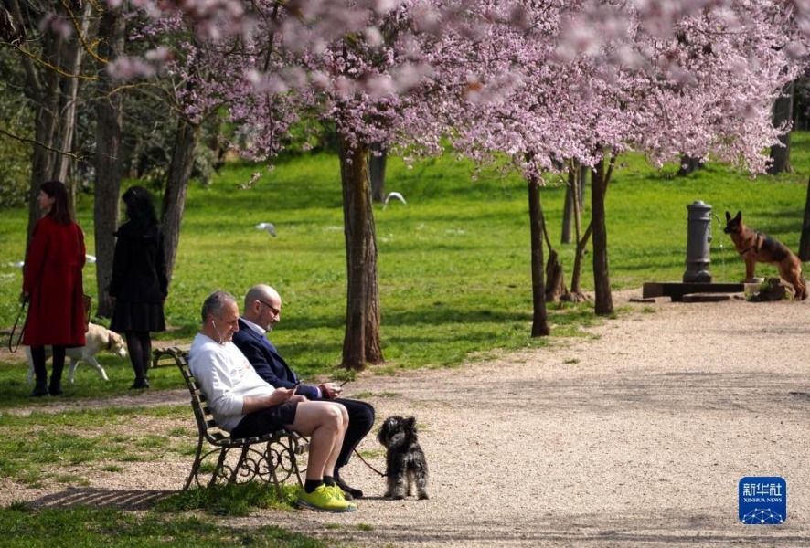 3月18日，人们在意大利罗马的阿达公园休闲。新华社记者 金马梦妮 摄