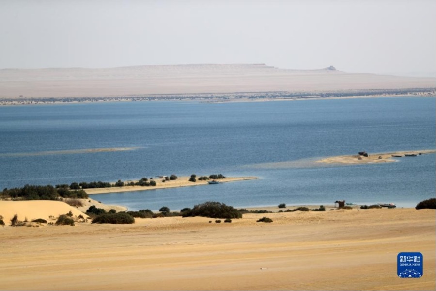 这是10月29日在埃及法尤姆省拍摄的沙漠里的一处湖泊。新华社记者 隋先凯 摄