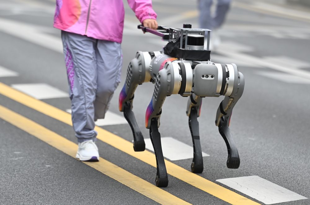 智能仿生手机器小狗一起认识杭州亚残运会上的科技宝藏