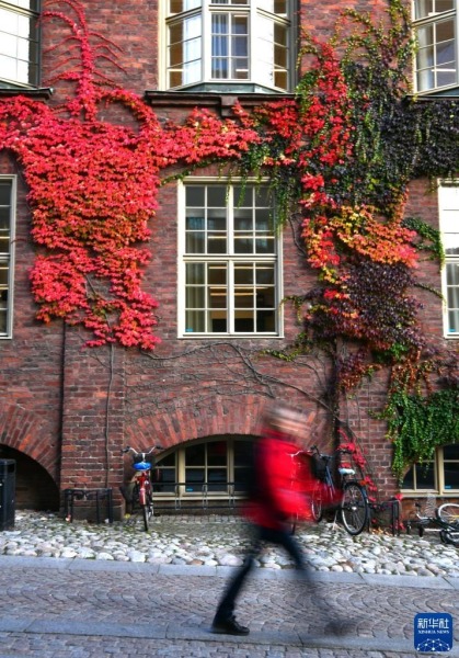 10月7日，一名行人走在瑞典斯德哥尔摩的瑞典皇家理工学院内。新华社记者 任鹏飞 摄
