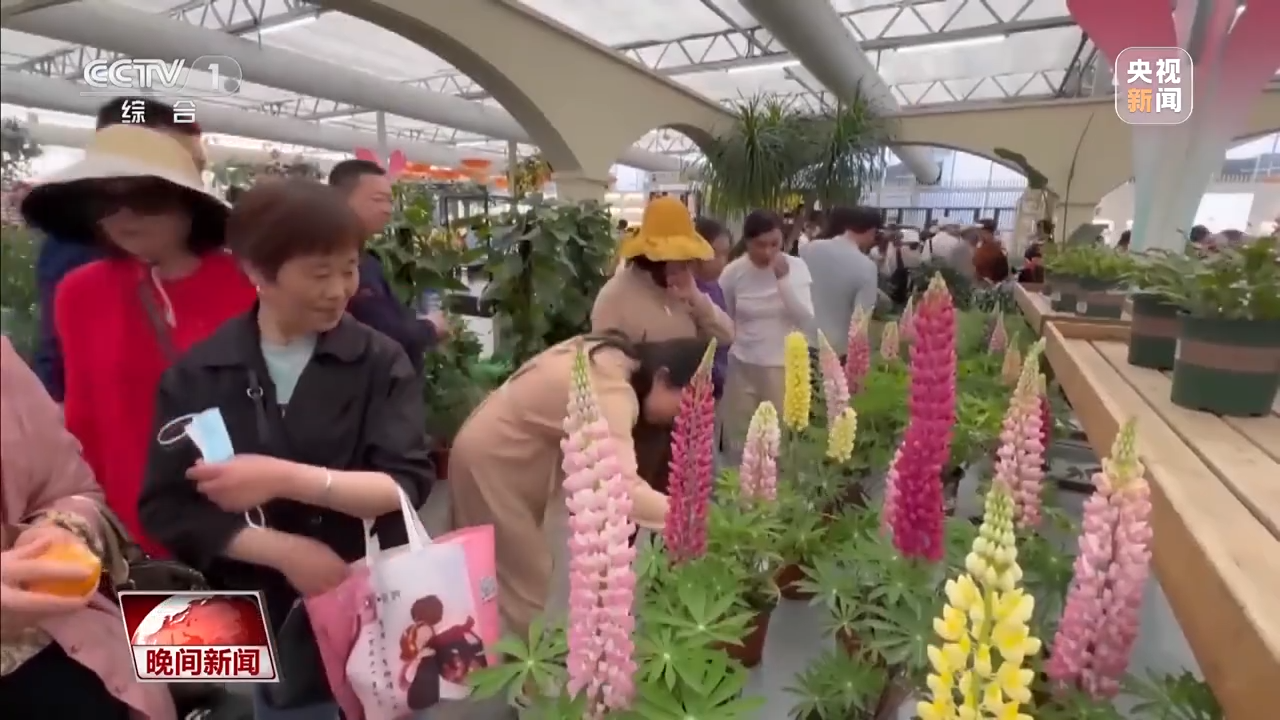 春暖花开时 看“美丽”经济“一路生花”