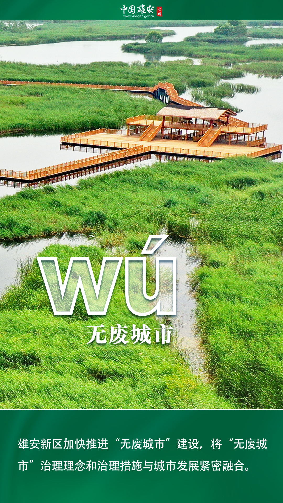 五年·见证雄安丨雄安：我wū wú wǔ wù岁啦！