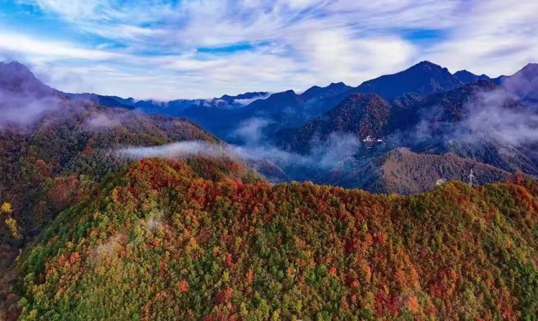 多彩金秋·畅游秦岭！2022西安秦岭生态旅游季秋季活动正式开启 秋季系列活动从9月持续至11月