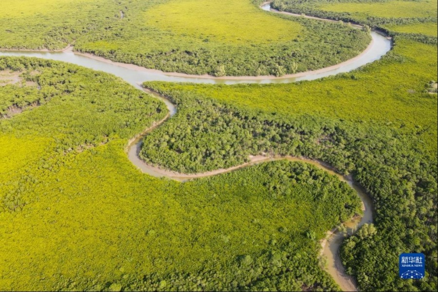 这是4月27日拍摄的海南东寨港国家级自然保护区（无人机照片）。