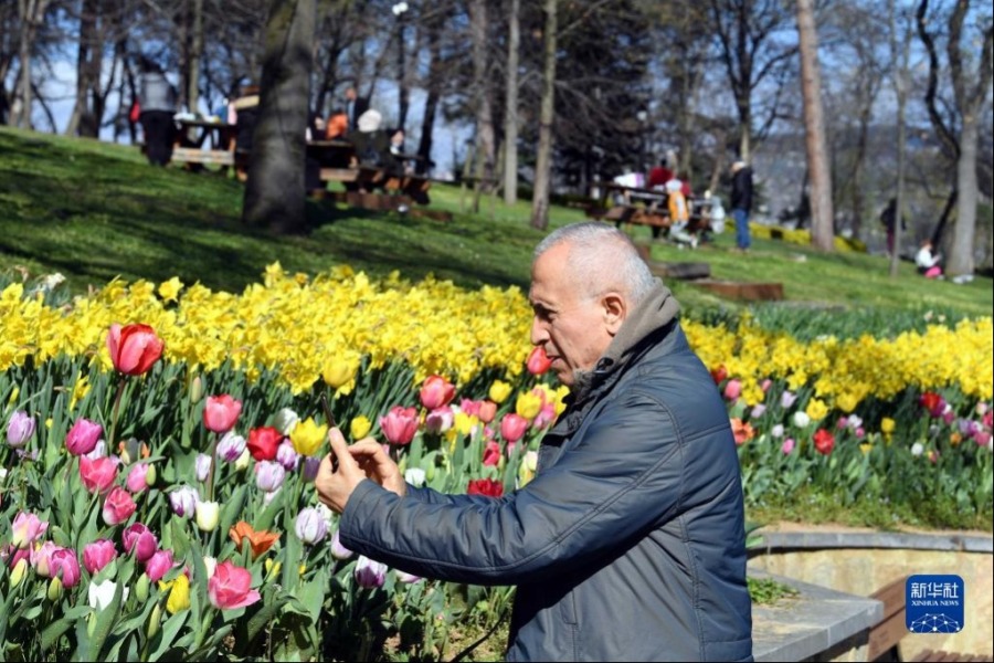 4月8日，一名男子在土耳其伊斯坦布尔埃米尔甘公园内拍照。新华社记者 沙达提 摄