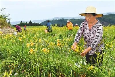 让台商台企放心投资安心发展舒心生活——两岸嘉宾在川共话乡村振兴