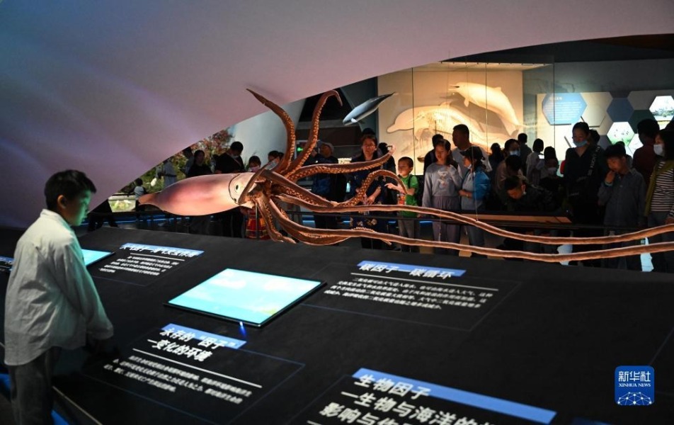 5月3日，游客在位于天津市滨海新区的国家海洋博物馆“今日海洋”展厅参观。新华社记者 赵子硕 摄