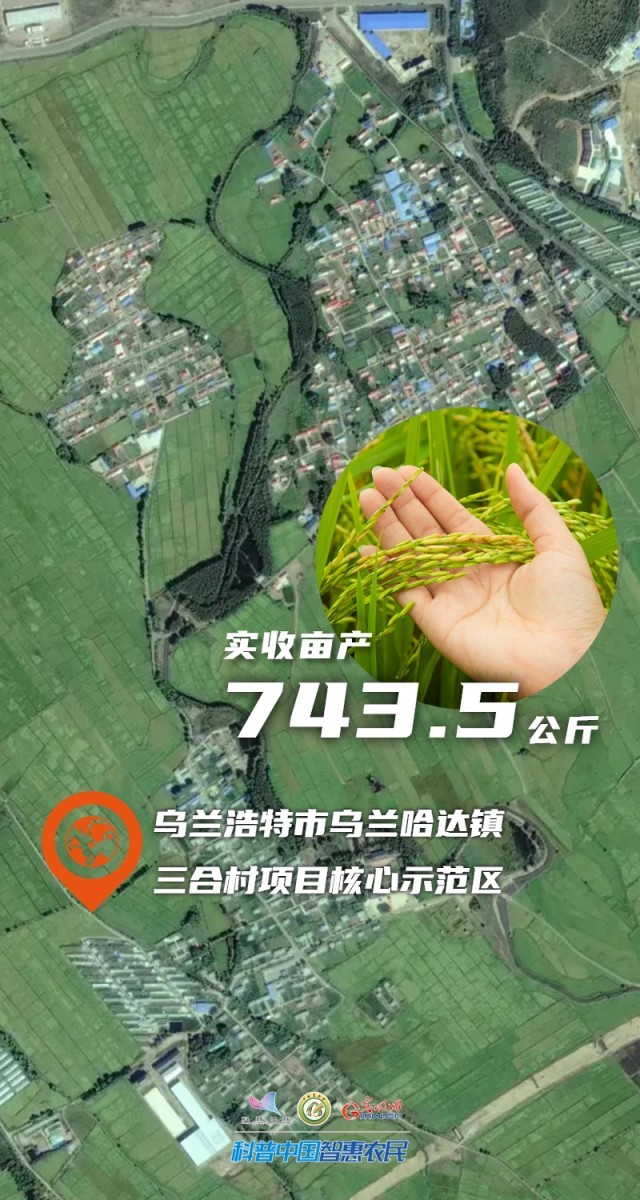 数说丰收| 743.5公斤！内蒙古水稻单产纪录刷新