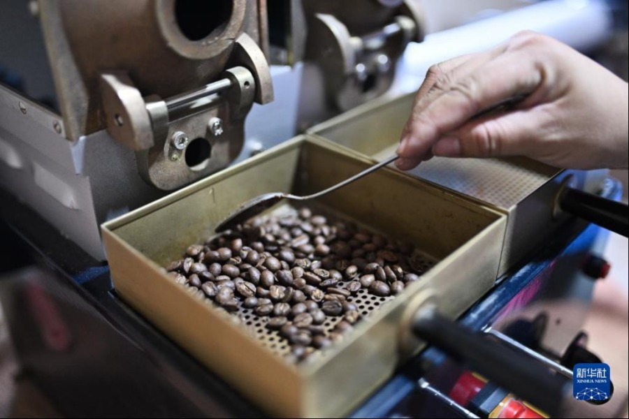 5月6日，在洪都拉斯马尔卡拉的一家咖啡工厂，工人查看经过烘焙的咖啡豆。新华社记者 辛悦卫 摄