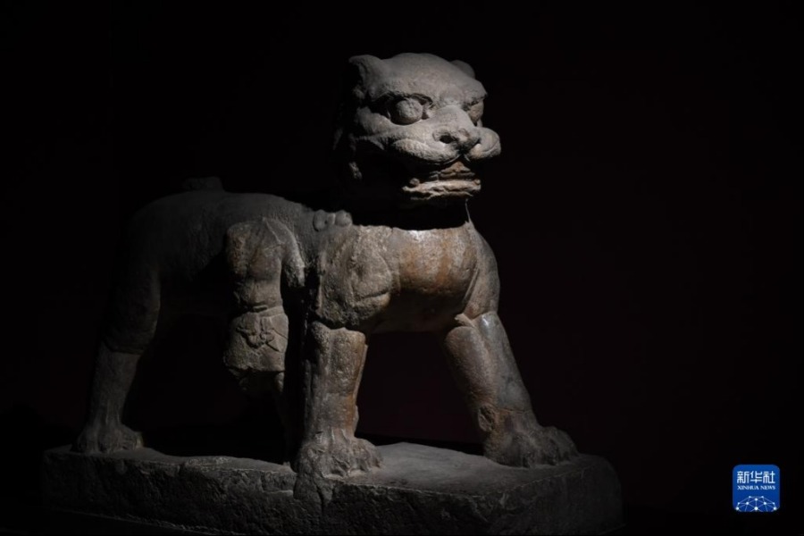 这是在西安碑林博物馆拍摄的唐代石狮（5月9日摄）。古代中国的狮子多通过丝绸之路由外国进贡而来。新华社记者 李一博 摄