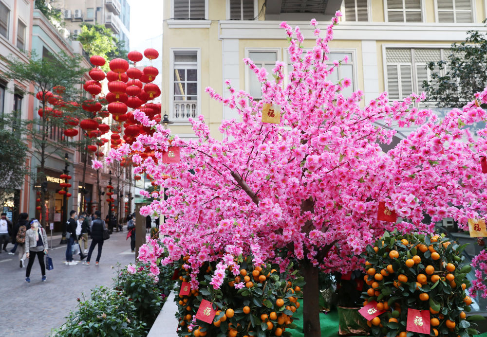 香港：遥寄相思意，“云”闹元宵节