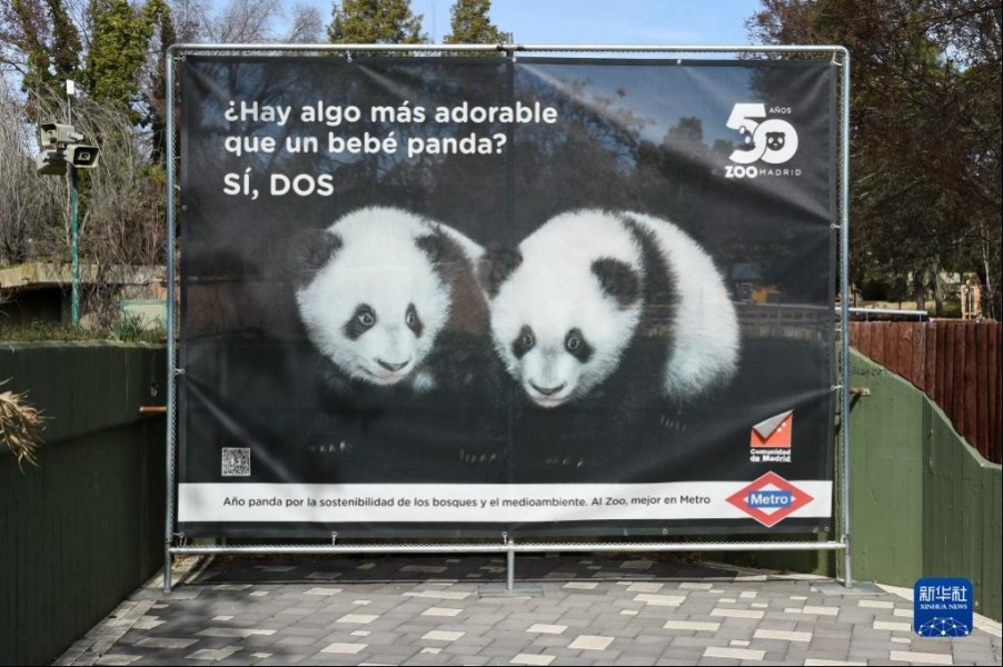 这是3月7日在西班牙马德里动物园拍摄的大熊猫双胞胎海报，上面写着“有什么比一只大熊猫宝宝更可爱的吗？有，两只。”新华社发（古斯塔沃·巴连特摄）