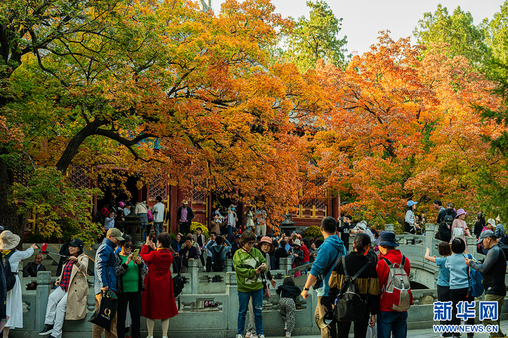 邂逅北京香山公园之秋