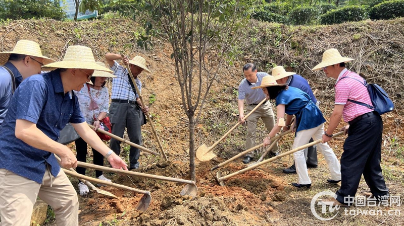 台湾同胞在广西梧州种下“同心林”