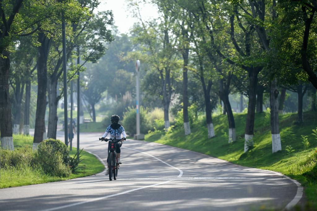 “大运之城”五彩魅力让世界迷上中国风巴蜀韵